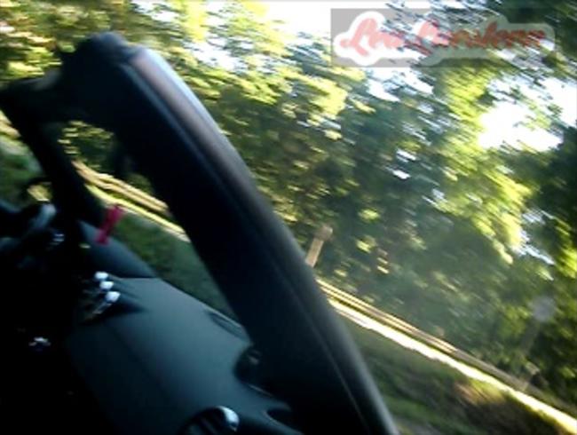 Lea Luestern Porno Video: Anhalten