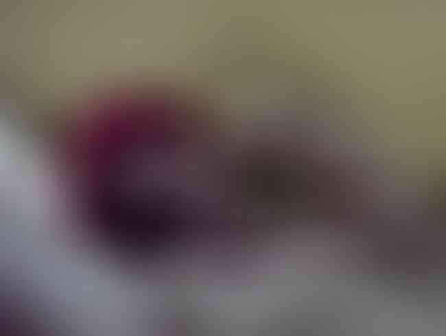 Lea Luestern Porno Video: lass mich mit Deinem Saft gurgeln